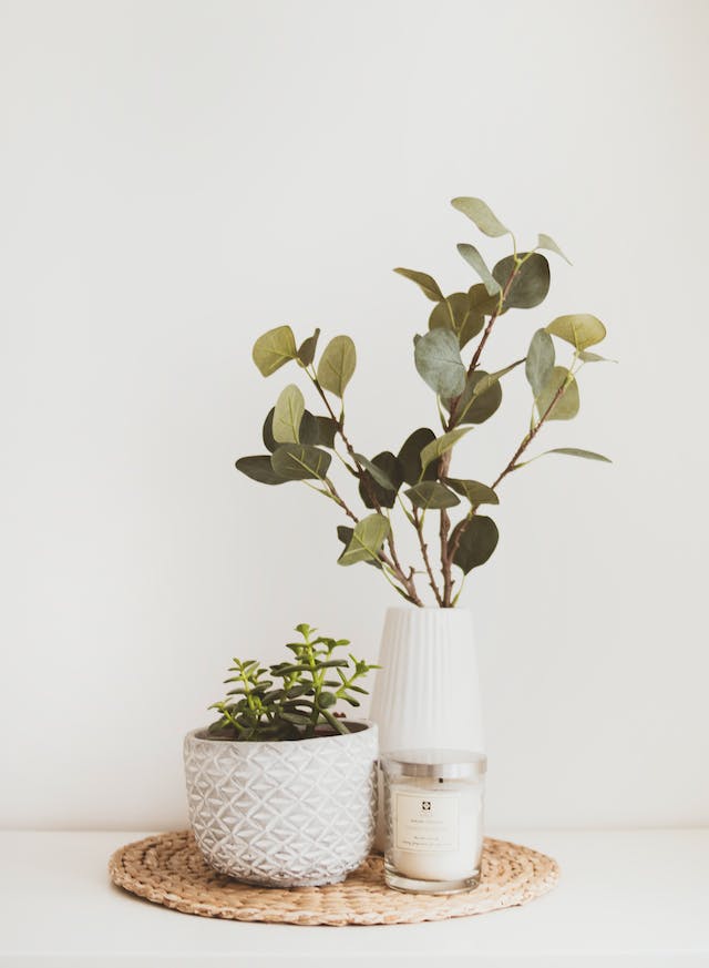 Vases décoratifs